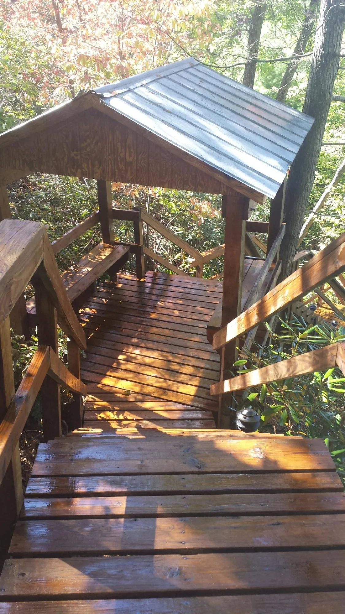 Freshly stained wood walkway and covered shelter with a metal roof in Neeses